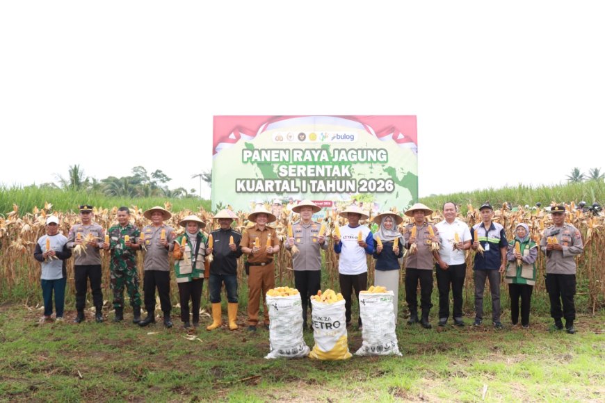 Dukung Stok Pangan, Polres Malang Panen Raya Jagung