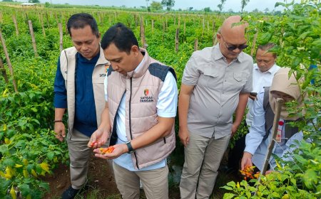 Satgas Pangan Tinjau Pasar dan Petani Jatim, Mayoritas Harga Aman