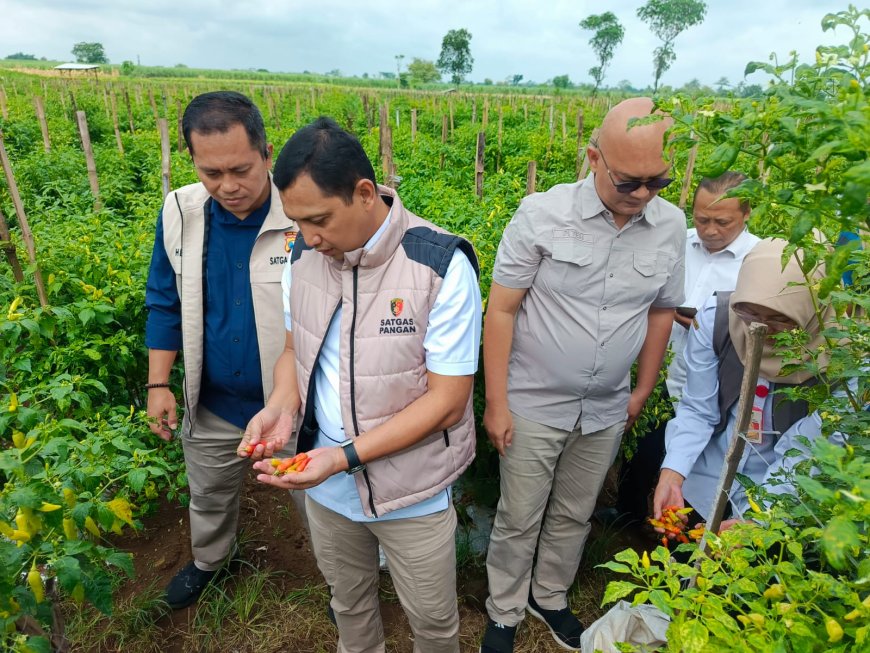 Satgas Pangan Pusat Monitoring Pasar Jatim, Harga Bahan Pokok Stabil