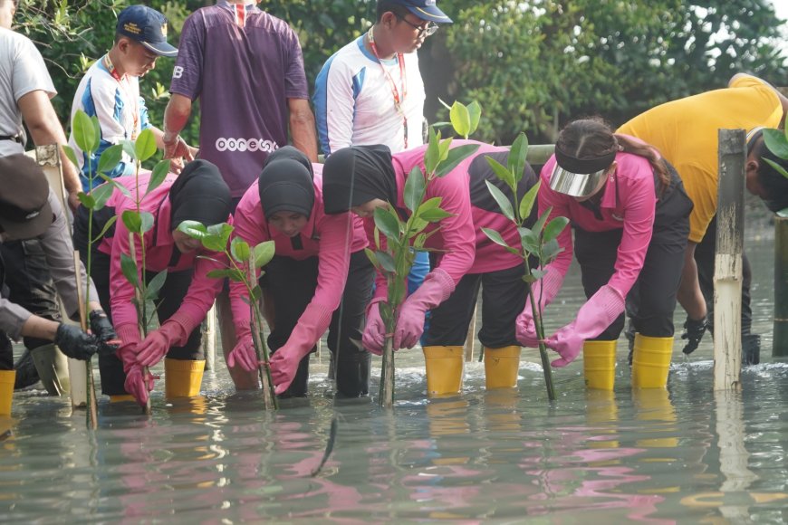 Pulihkan Lahan Kritis, YKB Tanjung Perak Tanam Mangrove