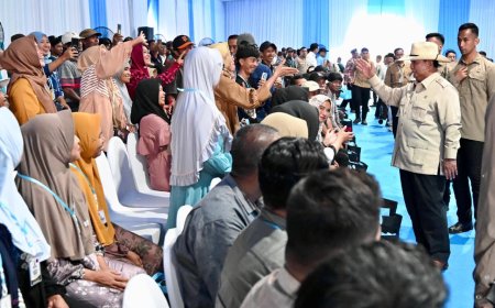 Optimisme Petani Menguat dalam Panen Raya Jagung Nasional